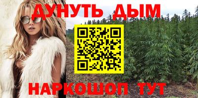 spice Гай