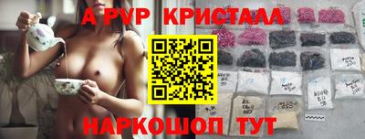 spice Гай