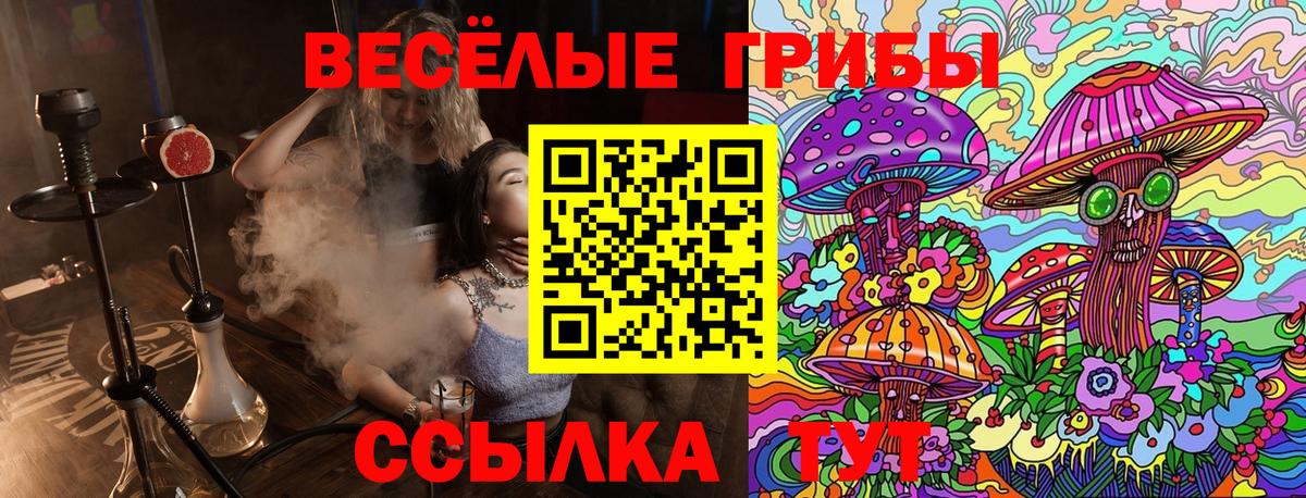 Галлюциногенные грибы MAGIC MUSHROOMS Можга