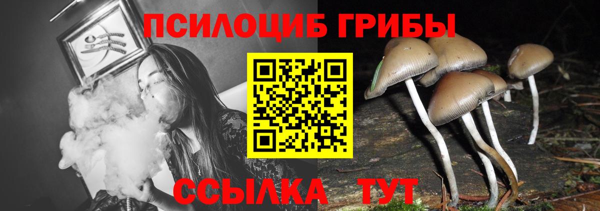 Можга  Галлюциногенные грибы прущие грибы  Вход с VPN  наркота  Псилоцибиновые грибы MAGIC MUSHROOMS 