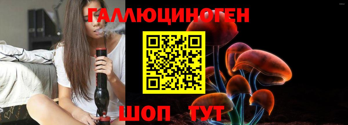Галлюциногенные грибы Можга